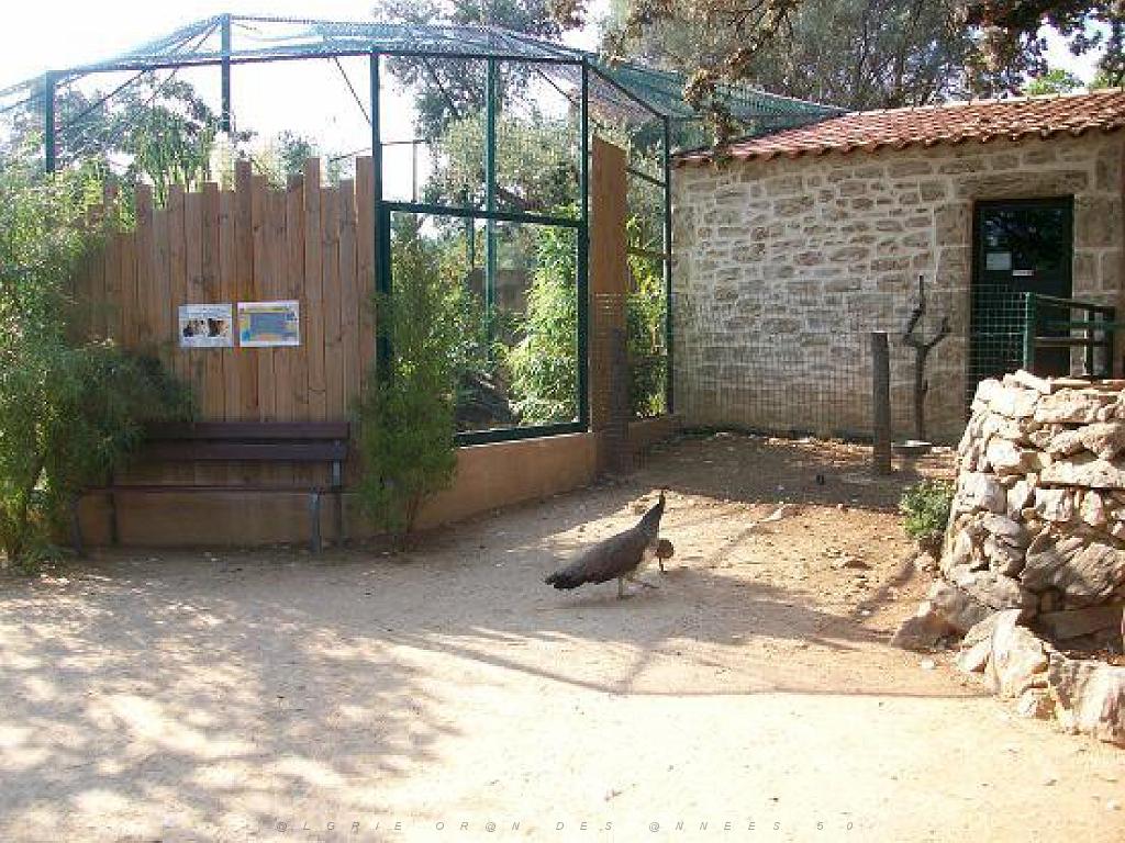183 D21 SANARY SUR MER 1_000066.jpg